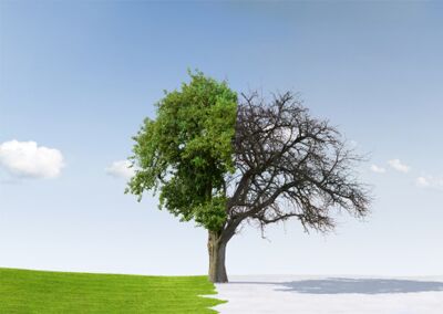 Budgeting and money management strategies to get through the better times and the leaner times. Budgeting and money management strategies to get through the better times and the leaner times.